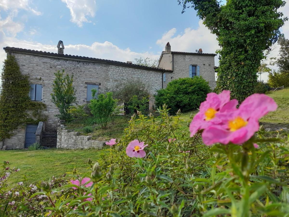 Agriturismo del Frontino-Lo Studio Acqualagna Exterior foto