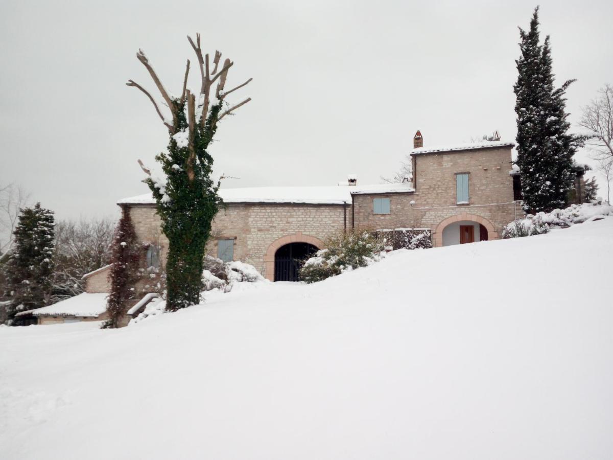 Agriturismo del Frontino-Lo Studio Acqualagna Exterior foto